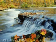 Natures Splendors: Autumn Screen Saver and Wallpaper screenshot